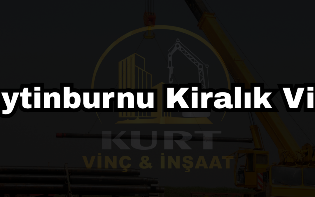 Zeytinburnu Kiralık Vinç