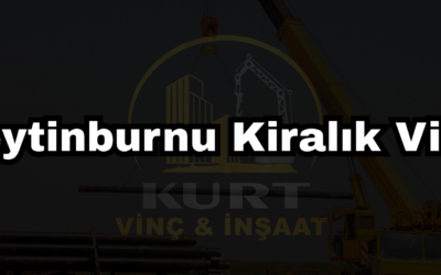 Zeytinburnu Kiralık Vinç