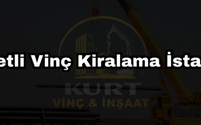 Sepetli Vinç Kiralama İstanbul